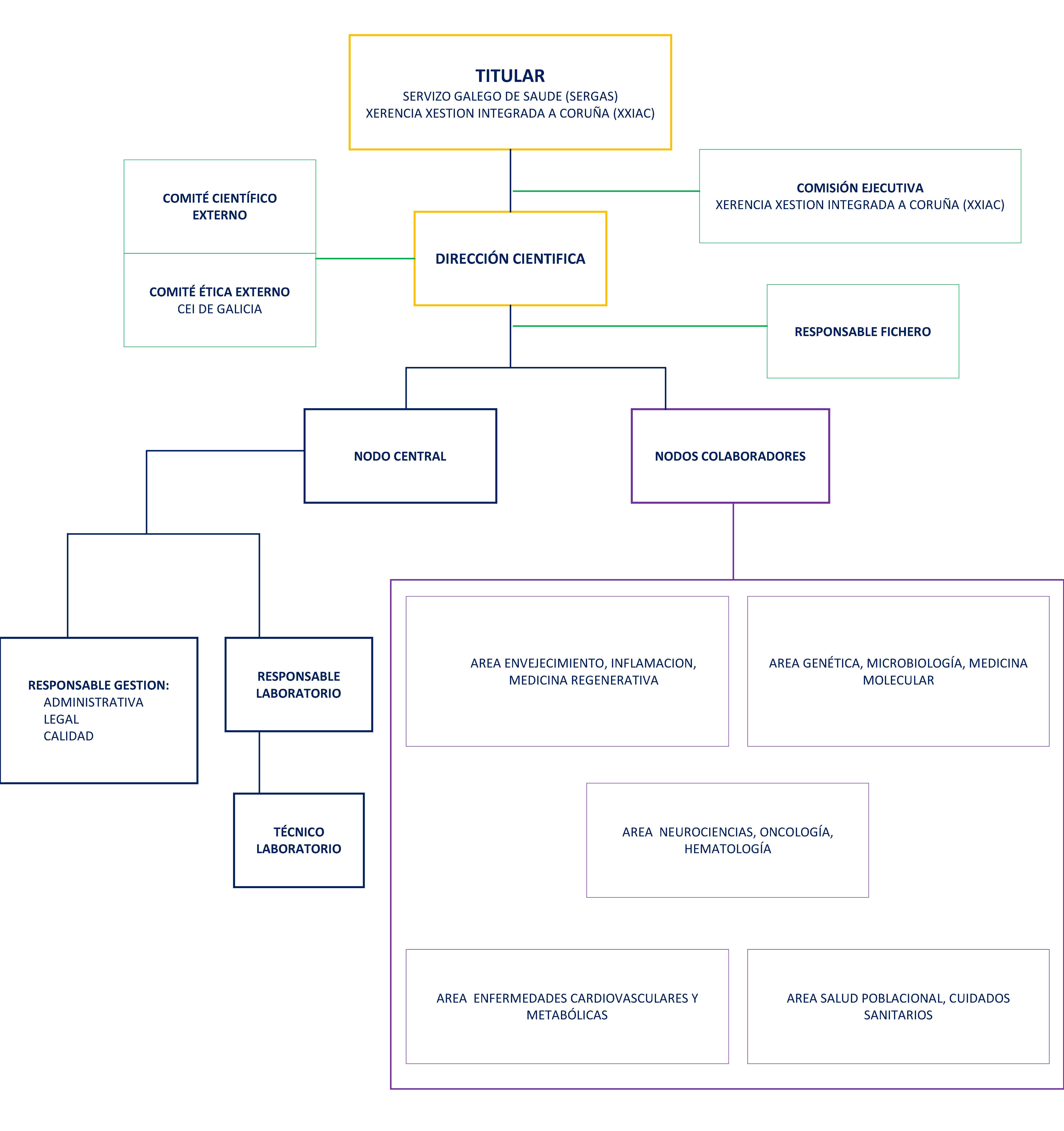 organigrama